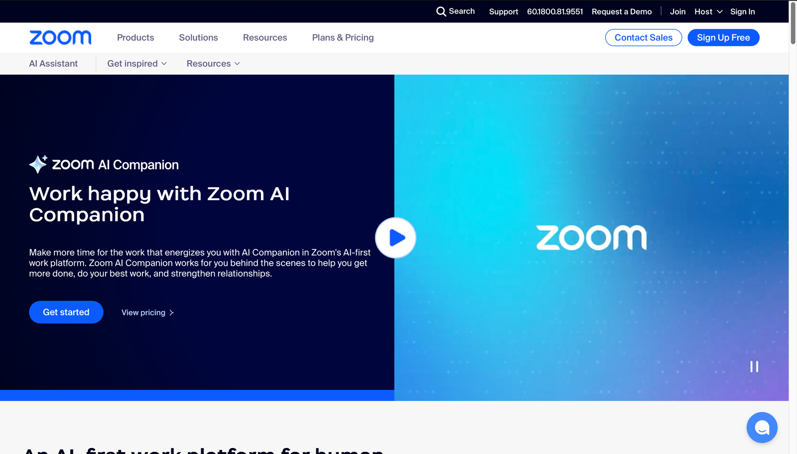 A screenshot of the video conference tool, Zoom